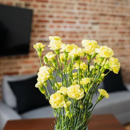 Big - Design - 3 - Centre * Wrocław