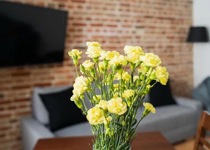 Big - Design - 3 - Centre * Breslau